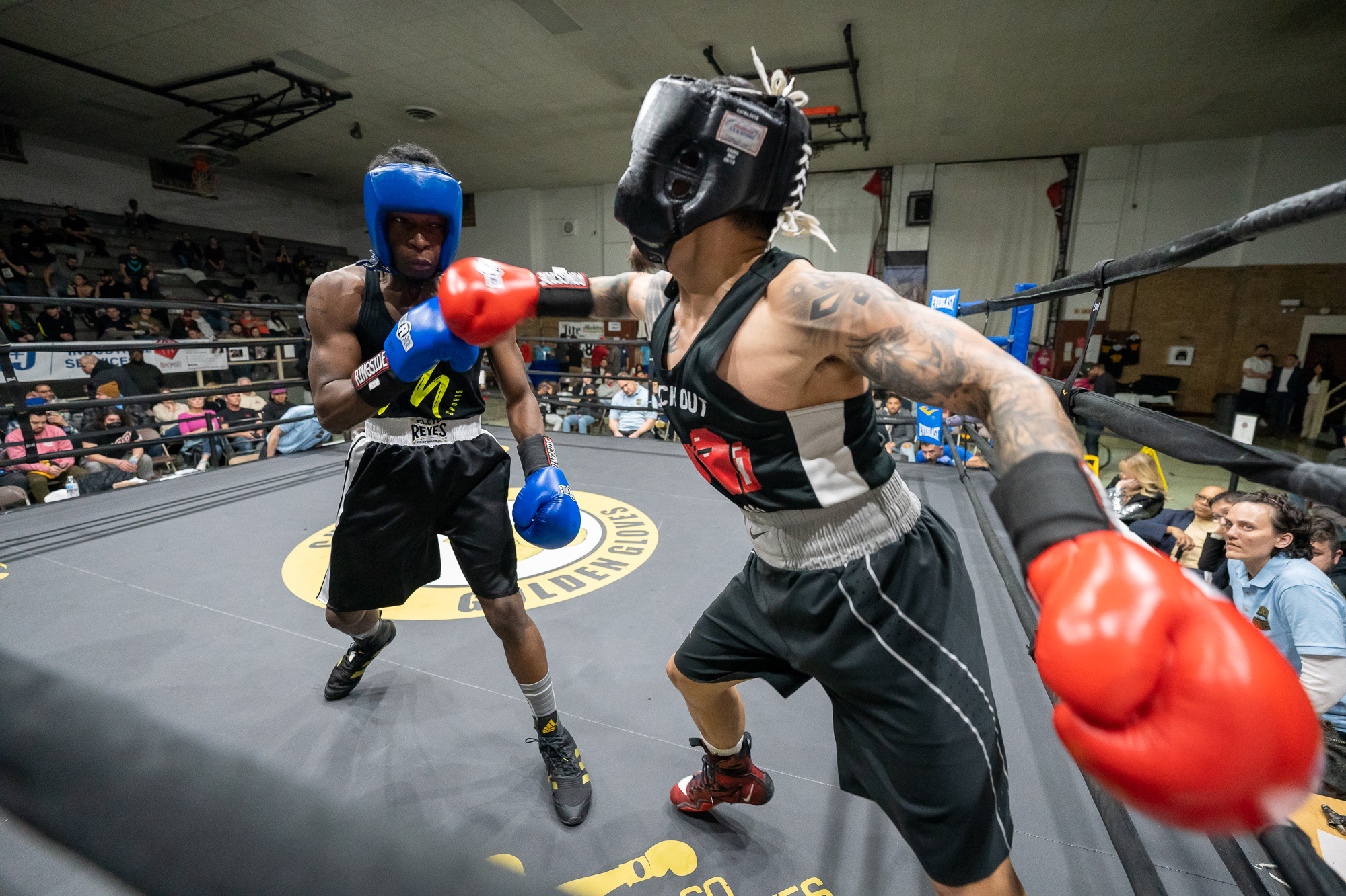 0028DSC04975_chicago_golden_Gloves